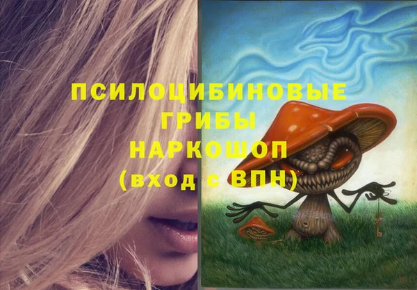 PSILOCYBIN Беломорск